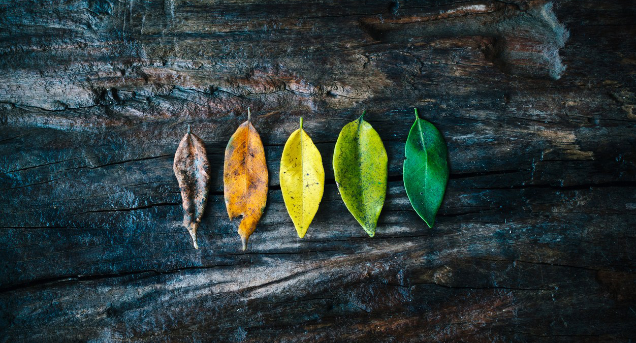 Normal Grief Vs Depression Grief Compass